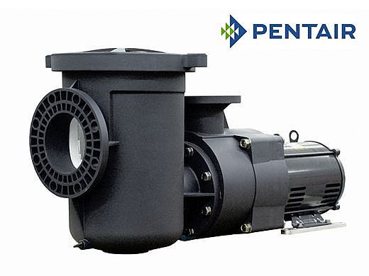 Pentair EQW300 Series 3HP Nema Premium Efficiency Single Phase Waterfall Pool Pump with Strainer 208-230V | 340026