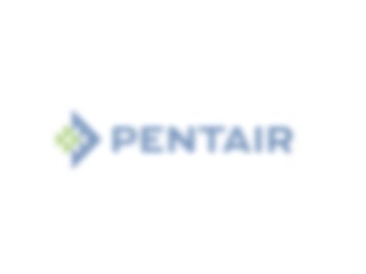 Pentair Replacement Motor Square Flange 2 Speed | 1A 115V 0.75HP | Almond | 350088S