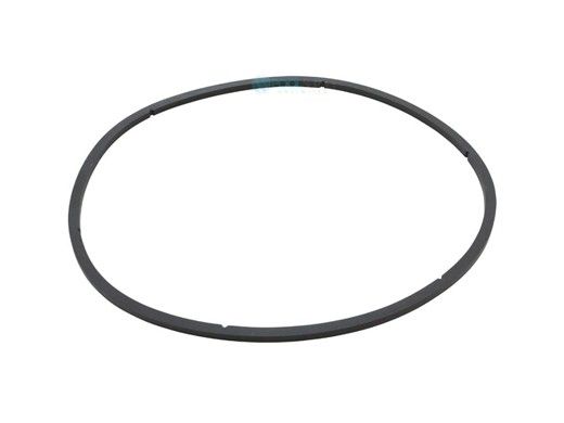 Pentair EQ Series Pump Lid O-Ring | 350166