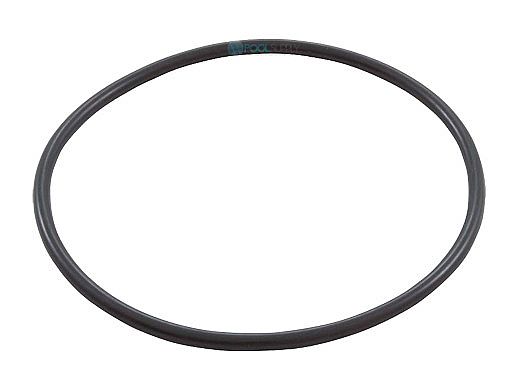 Pentair EQ Series Seal Plate O-Ring | 356780
