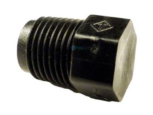 Polaris Booster Pump Plastic Plug | P-20