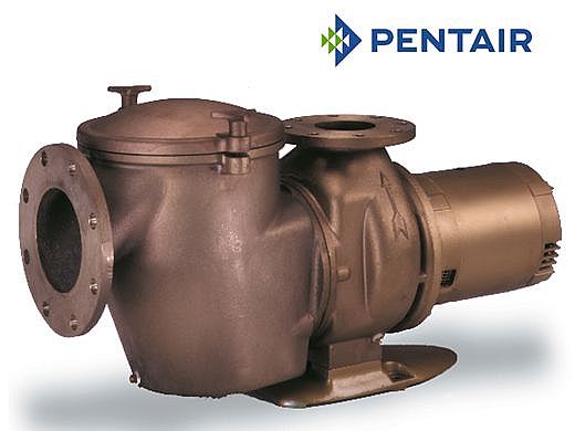 Pentair C Series Standard Efficiency Commercial Bronze Pump with Strainer | 3 Phase | 200-208V 7.5HP | CMK-75 | 347942