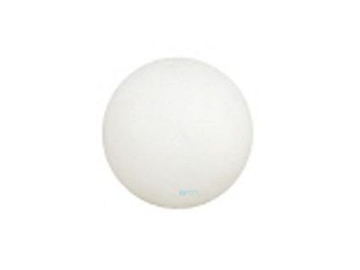 Pentair Rainbow 1" Poly Check Ball for HC Series Chlorinator | R172435