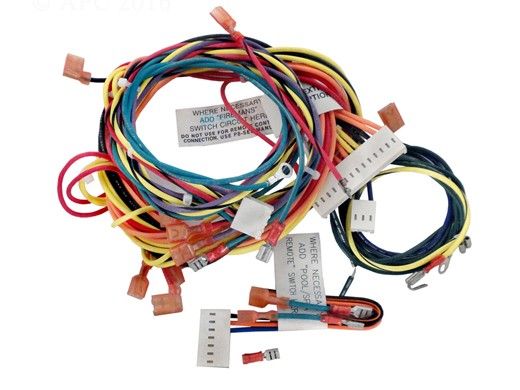 Raypak Wire Harness | IID Units | 009490F