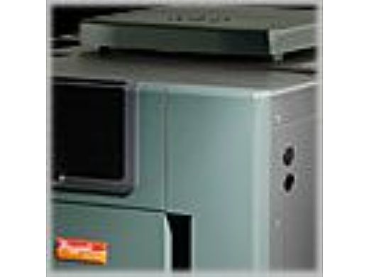 Raypak Digital Propane Gas Pool Heater 200k BTU | Electronic Ignition | P -M206A-EP-C 009974 | P-D206A-EP-C 010006 | P-R206A-EP-C 009224