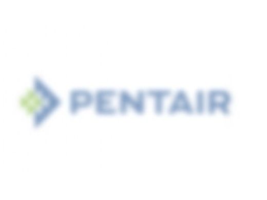 Pentair Collection Hub Assembly | 24201-0047