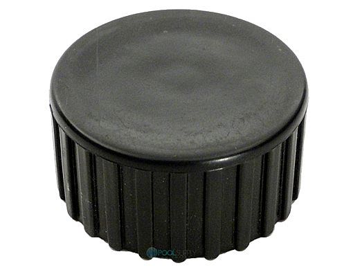 Pentair Drain Cap Assembly with Washer | 32185-7074