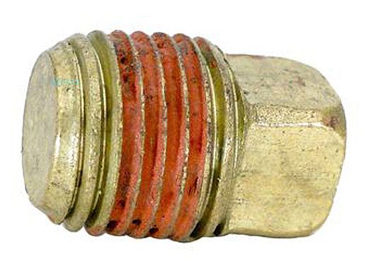 Pentair Pipe Plug Square Head .25" NPT | U78-57DT