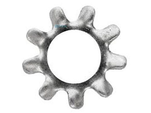 Pentair Max-E-Pro Lock Washer | U43-22SS