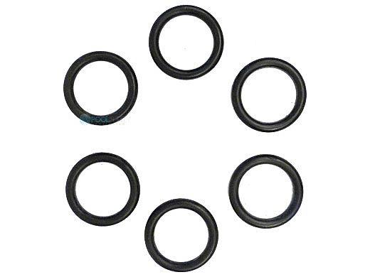 Pentair MasterTemp Coil/Tubesheet Sealing O-Ring Kit | 77707-0117