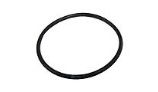 Pentair O-Ring for Index Plate | 35505-1246