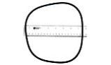 Jandy FHP Backplate O-Ring | R0480300