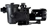 Jandy ePump Variable Speed Pump without Controller | 2.7HP 230V  | VSSHP270AUT