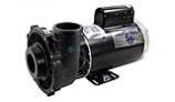 Waterway Executive 56 Frame | 2HP 2-Speed 2-1/2" Intake 2" Discharge 230V | 3720821-13