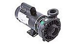 Waterway Hi-Flo Side Discharge-48-Frame | 2-Speed 3HP 230V | 3421221-10