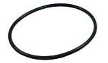 Waterways Lid O-Ring for SVL56 Pump | 805-0439