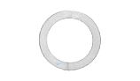 Waterway Plastics 2" Flat Union Gasket | 711-4010B