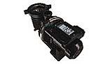 Sta-Rite IntelliPro 3HP Programmable Variable Speed Pool Pump | Time Clock Included | P6E6VS4H-209L