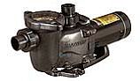 Hayward Max-Flo XL Single Speed Pool Pump | 2HP 115V 230V | W3SP2315X20