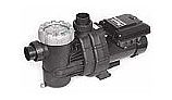 Raypak Variable Speed Pool Pump 1.65 THP | 208-230V | PS165VSP