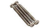 Pentair Prowler Large Screw | 360144