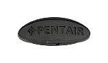 Pentair Rubber Button Kit | 360258