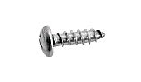 Waterway Plastics Screw #12 x 3/4" Stainless Steel Phillips Head for Clearwater II | 819-9002B