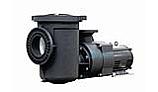Pentair EQKT500 Commercial TEFC Pool Pump With Strainer | NEMA Rated | 3 Phase | 208-230/460V 5HP | 340604