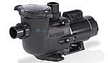 Hayward HCP 2000 Series TriStar® Single-Speed Commercial Self-Priming Pool Pump | 0.5HP 208-230/460V Three Phase | HCP20053