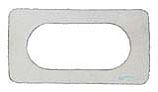 Pentair MasterTemp Electrical System Igniter Gasket | 42001-0066S