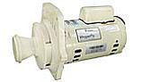 Pentair WhisperFlo Power End 2 Speed | 1HP | WFDS-24 | 075145