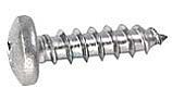 Pentair Screw #10 Self Tapping Hex Head | 154716