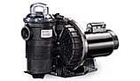 Pentair Challenger High Pressure Energy Efficient Pool Pump | 3 Phase | 208V/460V 1.5HP Full Rated | 345303