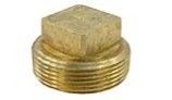 Raypak Unitherm Governor Plug | Brass | 013738F