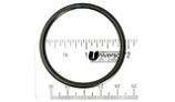 Waterway O-Ring | 805-0224