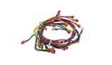 Raypak Wire Harness DSI | 011608F