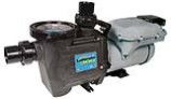 Waterway Power Defender 300 Variable Speed Pump 3HP 13.5AMP 230V | PD-VSC300