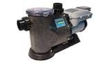 Waterway Power Defender 300SVL Variable Speed Pump 3HP 13.5AMP 230V | PD-VSA300