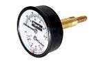 Raypak 0-90 PSI Temp & Pressure Gauge Kit | 007205F