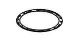 Raypak Flue Exhaust Gasket Retainer | 010031F