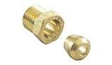 Raypak Adapter Nut | 011927F