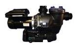Waterco Infinium Eco V-150 1.65HP Variable Speed Pump | 208/230V Energy-Efficient | 243150A-VS