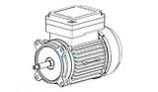 Hayward TEFC Threaded Motor 1.5HP 115/230V | SPX2610Z1MTG