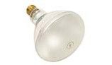 Hayward Bulb | 120V - 400W | SPX0584Z2