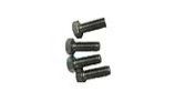 CaliMar Motor Cap Screws | 4 Pack | FB2010-MCS