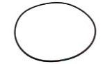 Waterco Strainer Lid O-Ring | 19B5051