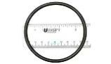 Generic Diffuser O-Ring | APCO2339