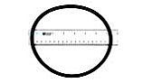 Pentair Clamp O-Ring | 52000500