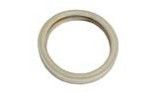 Pentair Gasket For 4" Diameter Lens | 79108500 79108500Z