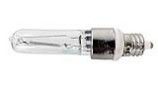 Pentair Halogen Quartz 100W 120V | 79102900